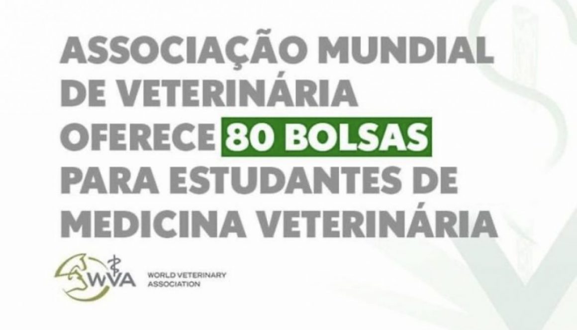 Associação Mundial de Veterinária oferece 80 bolsas para estudantes