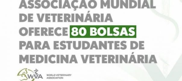 Associação Mundial Veterinária oferece 80 bolsas para estudantes de Medicina Veterinária
