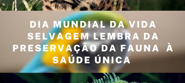 Dia Mundial da Vida Selvagem lembra a importância da preservação da fauna para a Saúde Única