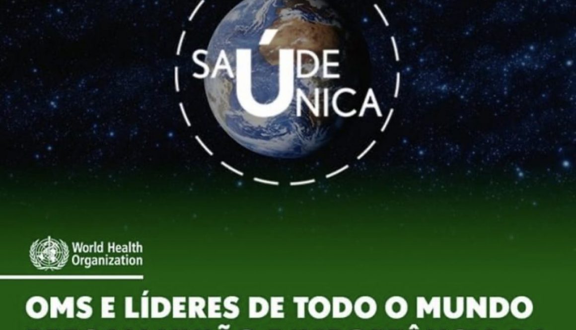 OMS e líderes de todo o mundo pregam união e importância da saúde única contra futuras pandemias