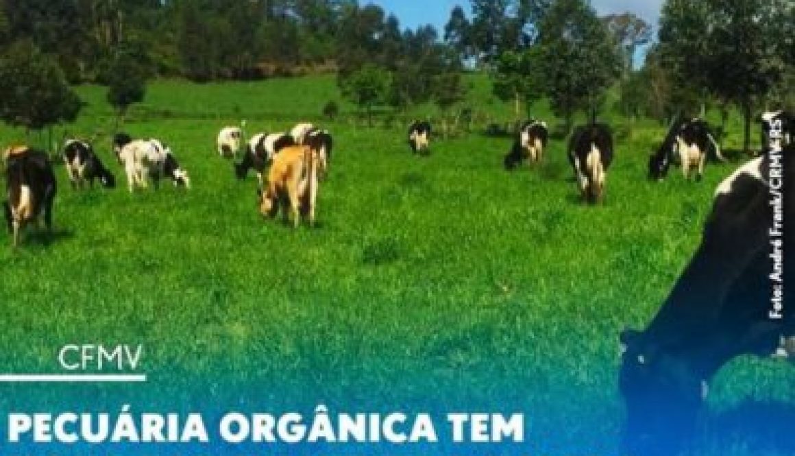 Pecuária orgânica tem novo regulamento do MAPA