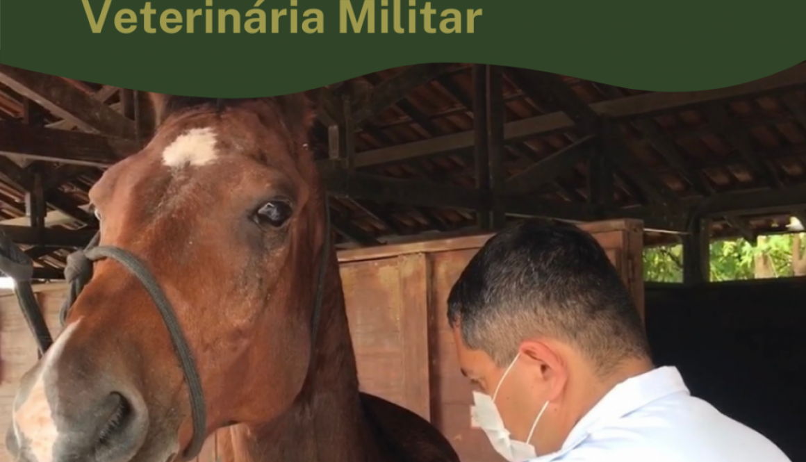 CRMV-RR parabeniza os Médicos-Veterinários Militares de Roraima
