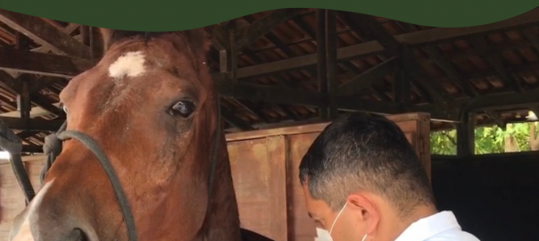 CRMV-RR parabeniza os Médicos-Veterinários Militares de Roraima