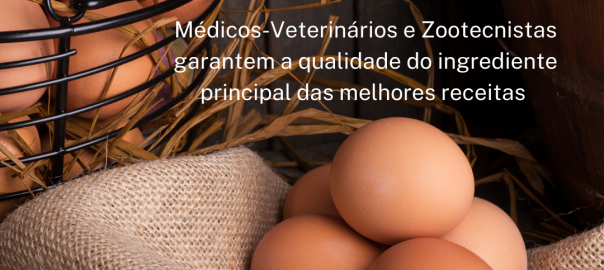 Dia da Avicultura – Médicos-Veterinários e Zootecnistas garantem a qualidade do ingrediente principal das melhores receitas