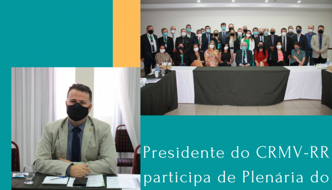 Presidente do CRMV-RR participa de Plenária do CFMV em Palmas