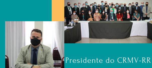 Presidente do CRMV-RR participa de Plenária do CFMV em Palmas