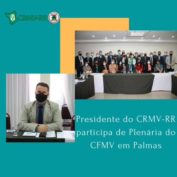 Presidente do CRMV-RR participa de Plenária do CFMV em Palmas