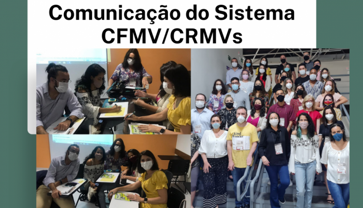 IV Encontro de Assessores de Comunicação do Sistema CFMV/CRMVs