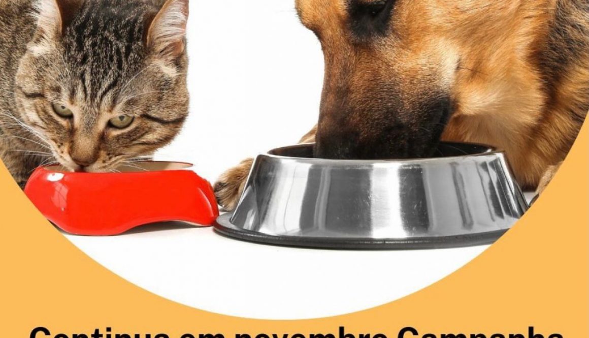 Campanha "Todos pelos Animais"continua em novembro