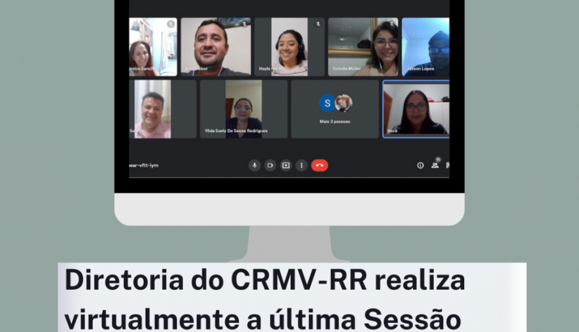 Diretoria do CRMV/RR realiza virtualmente última Plenária Ordinária do ano de 2021