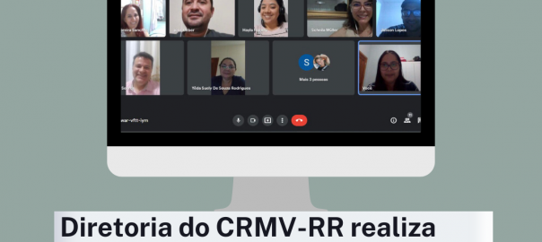 Diretoria do CRMV/RR realiza virtualmente última Plenária Ordinária do ano de 2021