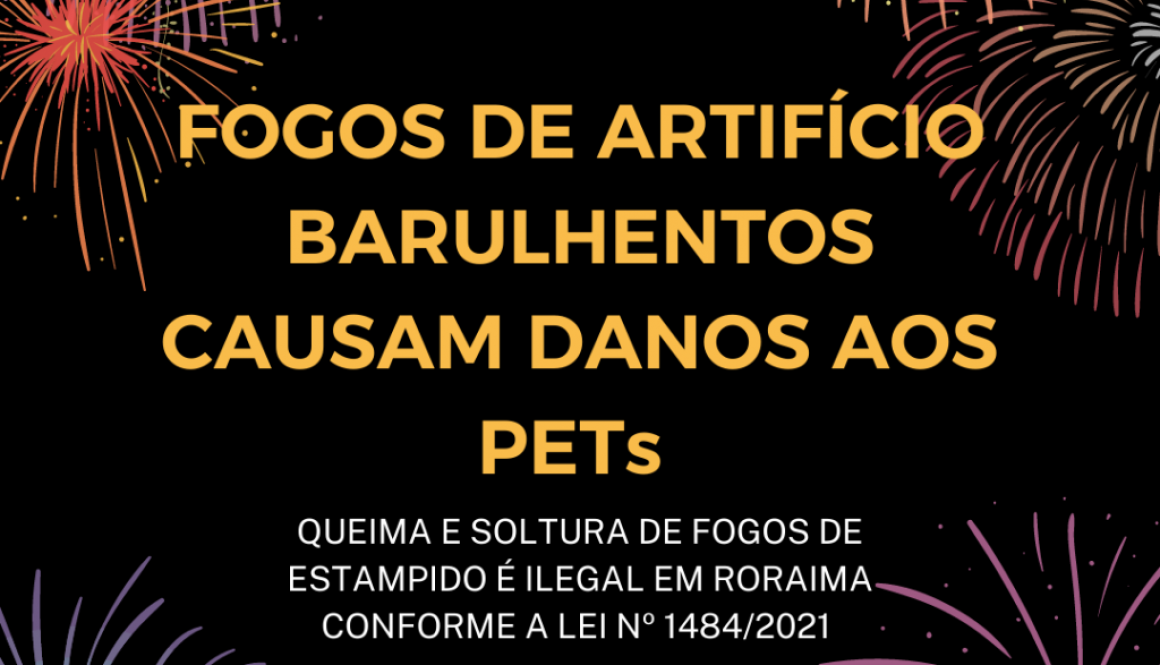 FOGOS DE ARTIFÍCIO BARULHENTOS CAUSAM DANOS AOS PETs