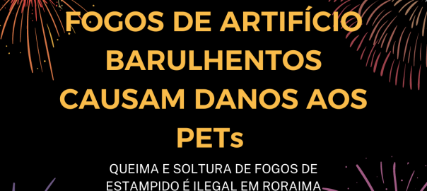 Fogos de artifício barulhentos causam danos aos pets