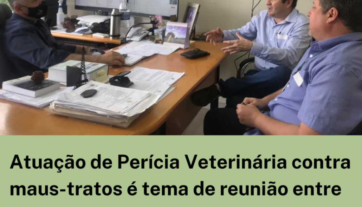 Atuação de Perícia Veterinária contra maus-tratos é tema de reunião entre CRMV/RR e promotor de Defesa do Meio Ambiente