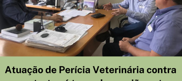 Atuação de Perícia Veterinária contra maus-tratos é tema de reunião entre CRMV/RR e promotor de Defesa do Meio Ambiente