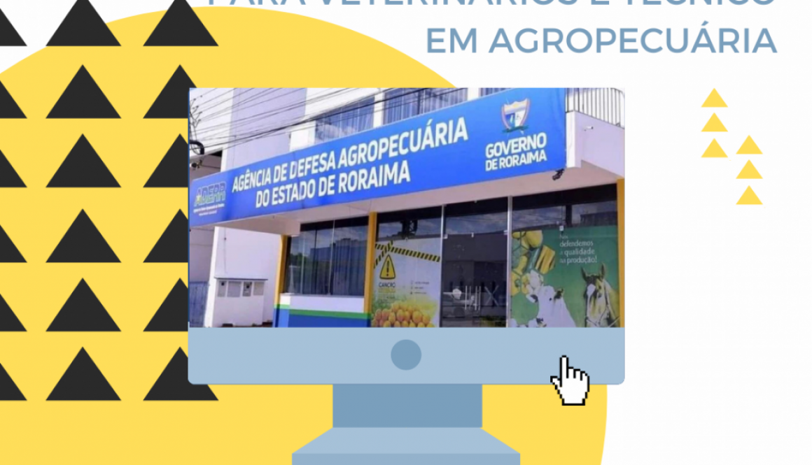 Agência abre 15 vagas