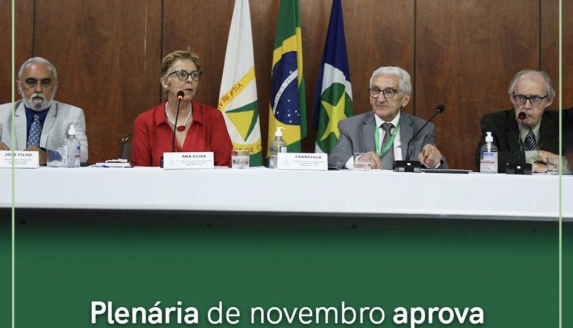 Plenária de novembro aprova contas do federal e regionais