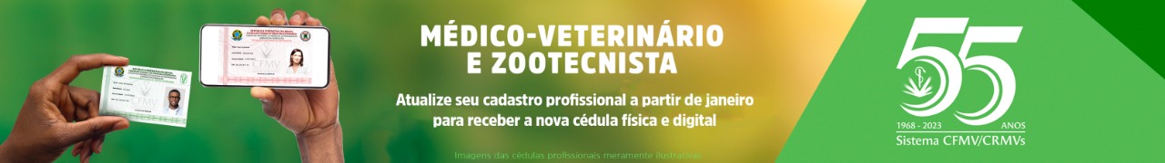 Início