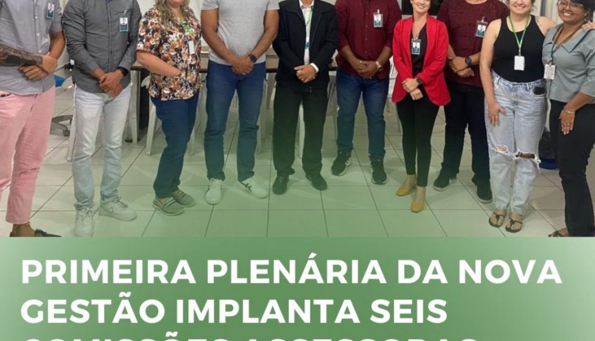 PRIMEIRA PLENÁRIA DA NOVA GESTÃO IMPLANTA SEIS COMISSÕES ASSESSORAS