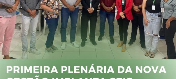 PRIMEIRA PLENÁRIA DA NOVA GESTÃO IMPLANTA SEIS COMISSÕES ASSESSORAS