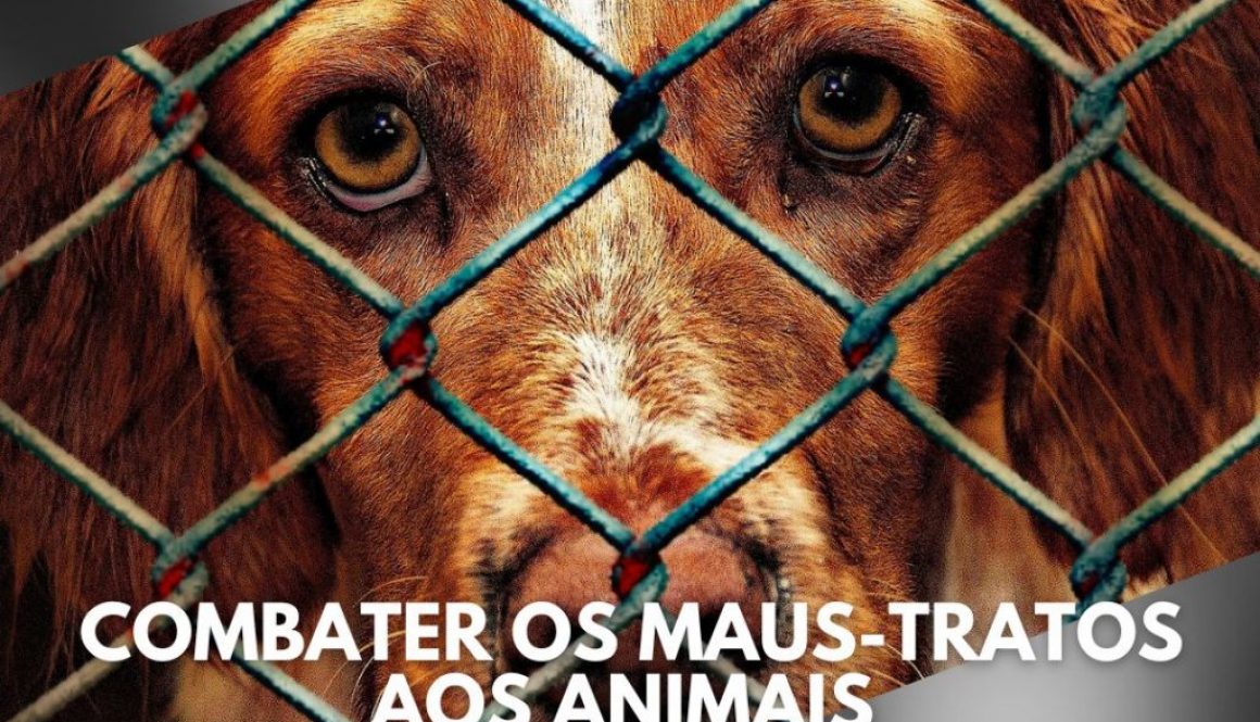 Combater os maus-tratos aos animaos