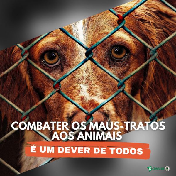 Combater os maus-tratos aos animaos