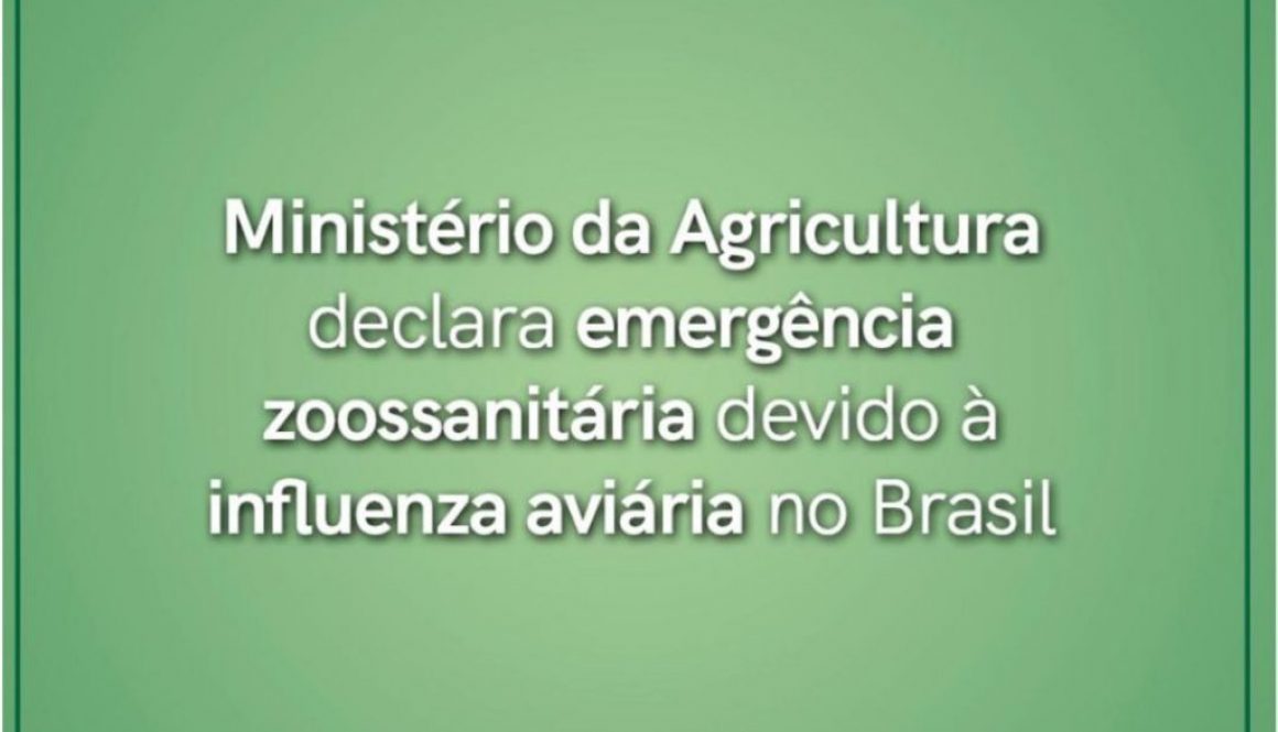 Ministério da Agricultura declara emergência zoossanitária devido à influenza aviária no Brasil