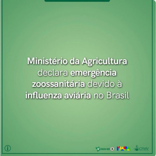Ministério da Agricultura declara emergência zoossanitária devido à influenza aviária no Brasil