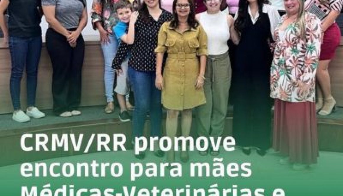 CRMV/RR promove encontro para mães Médicas-Veterinárias e Zootecnistas