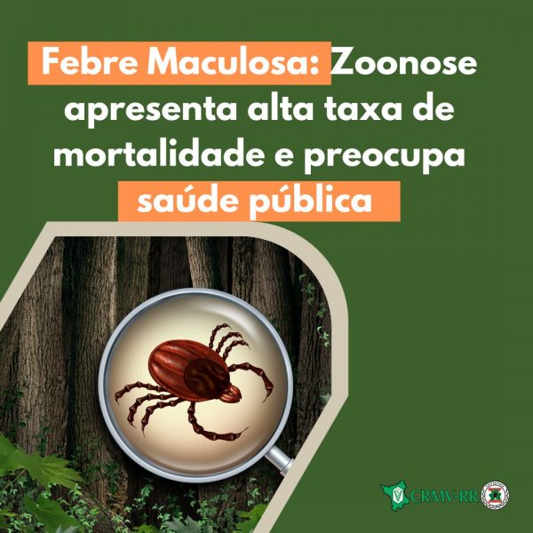 Febre Maculosa Zoonose apresenta alta taxa de mortalidade e preocupa saúde pública