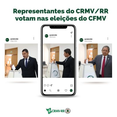 Representantes do CRMV/RR votam nas eleições do CFMV