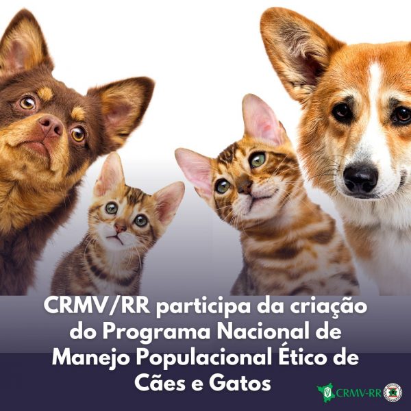 CRMVRR participa da criação do Programa Nacional de Manejo Populacional Ético de Cães e Gatos