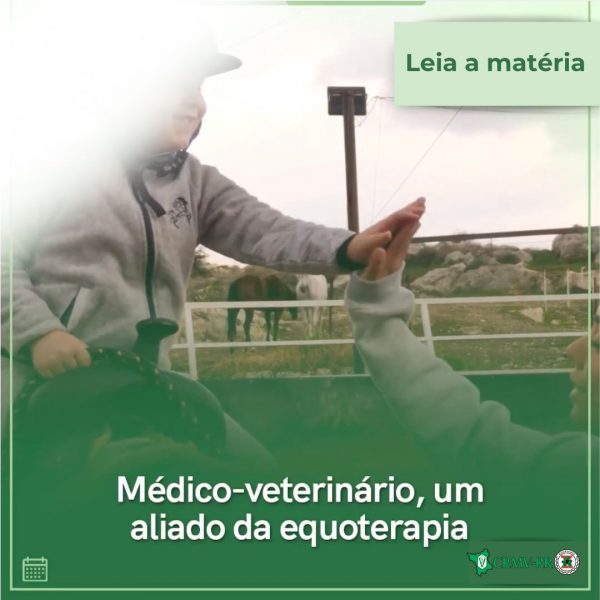 Médico-Veterinário, um aliado da equoterapia