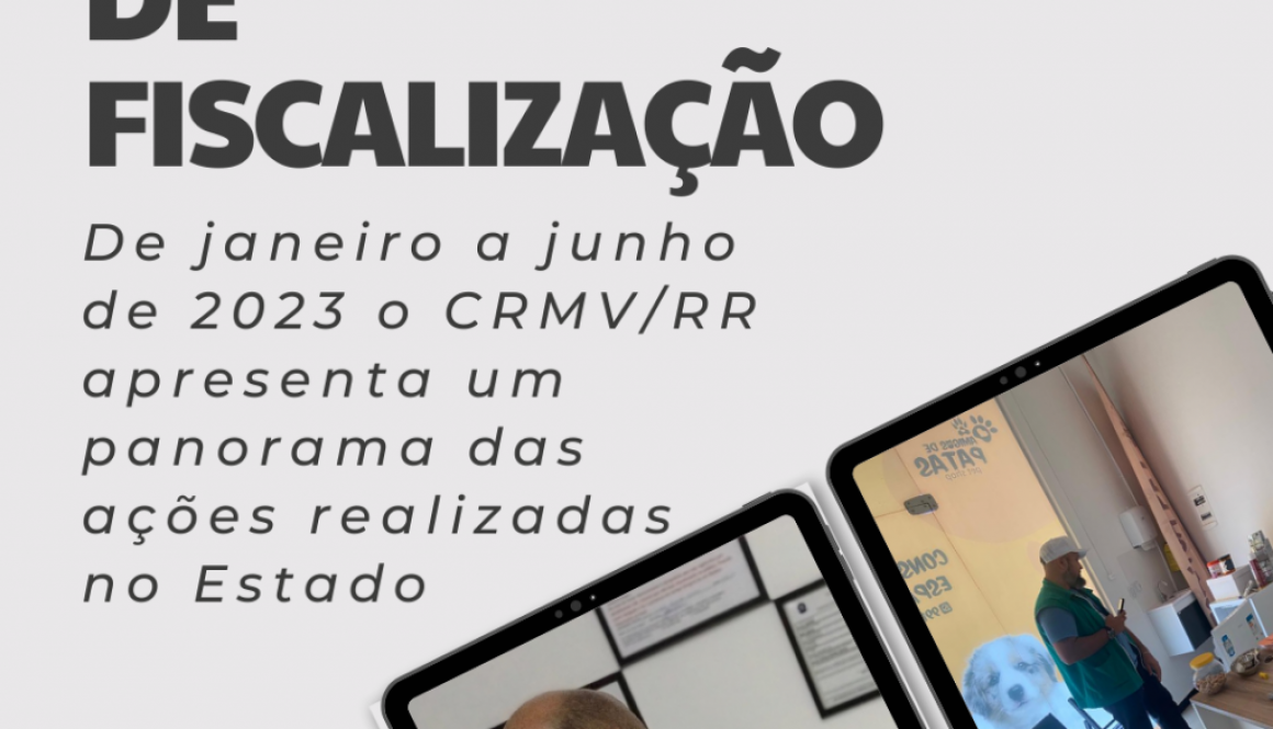 Relatório de Fiscalização do CRMV/RR