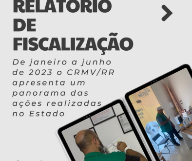 Relatório de Fiscalização do CRMV/RR