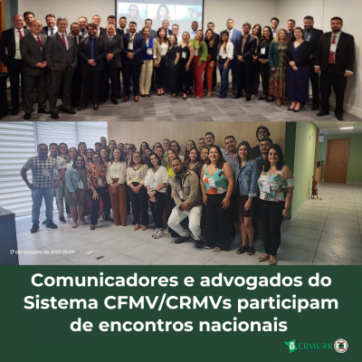 Comunicadores e advogados do Sistema CFMVCRMVs participam de encontros nacionais