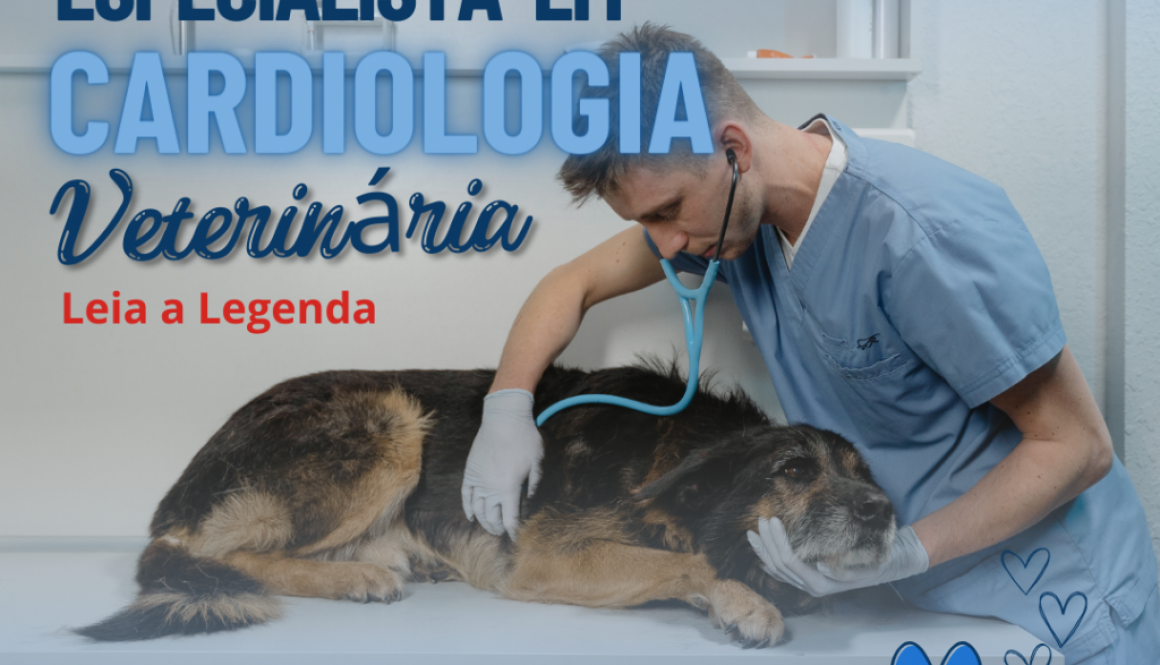 EDITAL ABERTO PARA PROVA DE  ESPECIALISTA PARA CARDIOLOGIA VETERINÁRIA