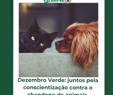 Dezembro Verde juntos pela conscientização contra o abandono de animais.