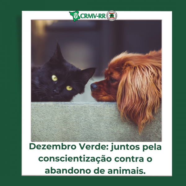 Dezembro Verde juntos pela conscientização contra o abandono de animais.