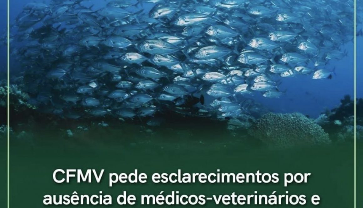 CFMV pede esclarecimentos por ausência de Médicos-Veterinários e Zootecnistas em vagas do Ministério da Pesca e Aquicultura