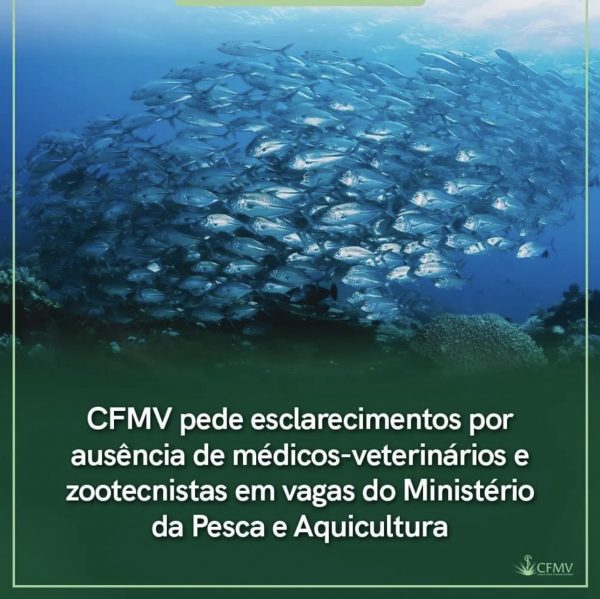 CFMV pede esclarecimentos por ausência de Médicos-Veterinários e Zootecnistas em vagas do Ministério da Pesca e Aquicultura