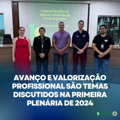 Avanço e valorização profissional são temas discutidos na primeira plenária de 2024