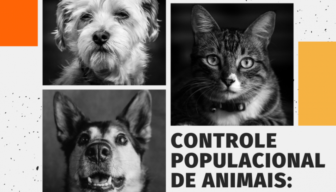 Controle Populacional de Animais: Uma necessidade urgente para um futuro sustentável