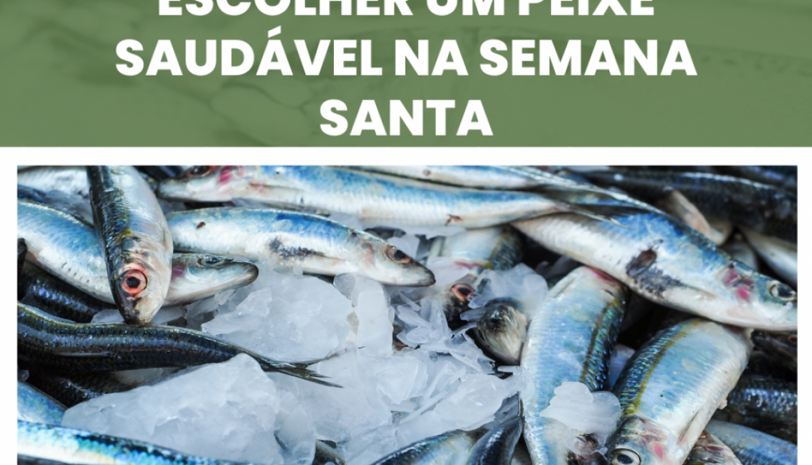 Dicas do CRMVRR para escolher um peixe saudável na Semana Santa