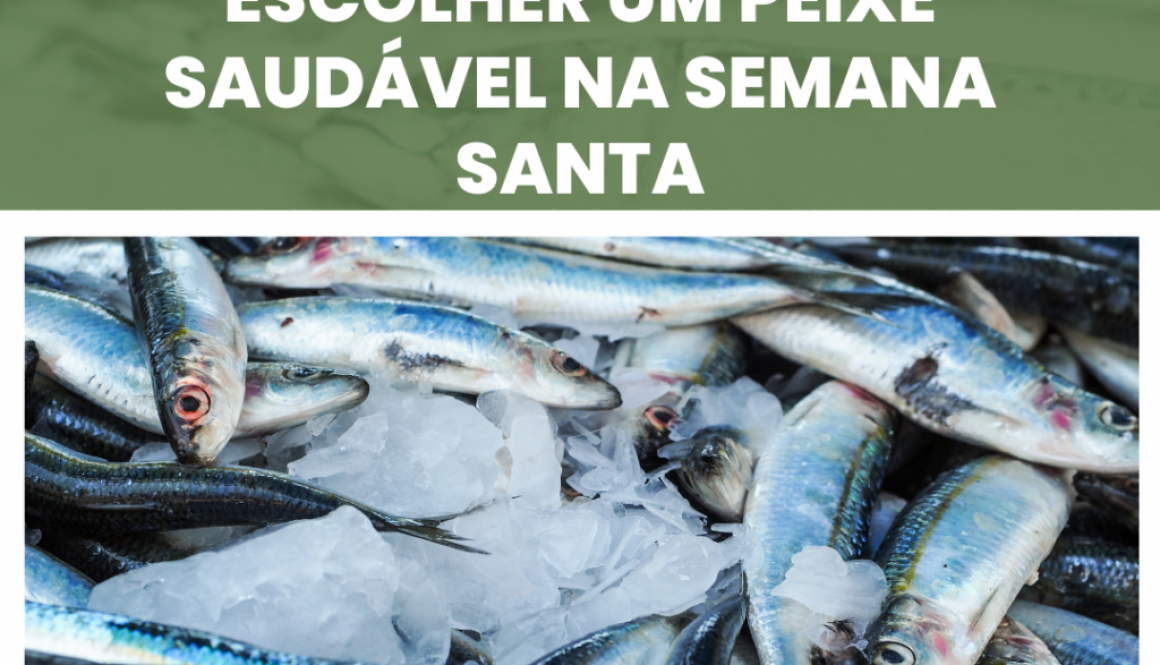 Dicas do CRMVRR para escolher um peixe saudável na Semana Santa Dicas do CRMVRR para escolher um peixe saudável na Semana Santa