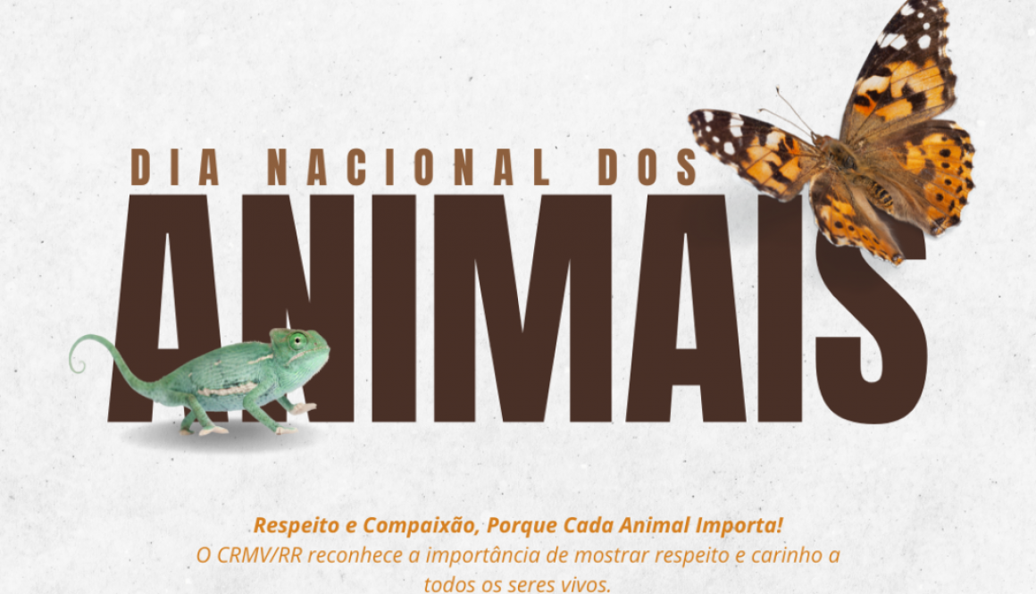 Todas as vidas importam: Celebre o Dia Nacional dos Animais