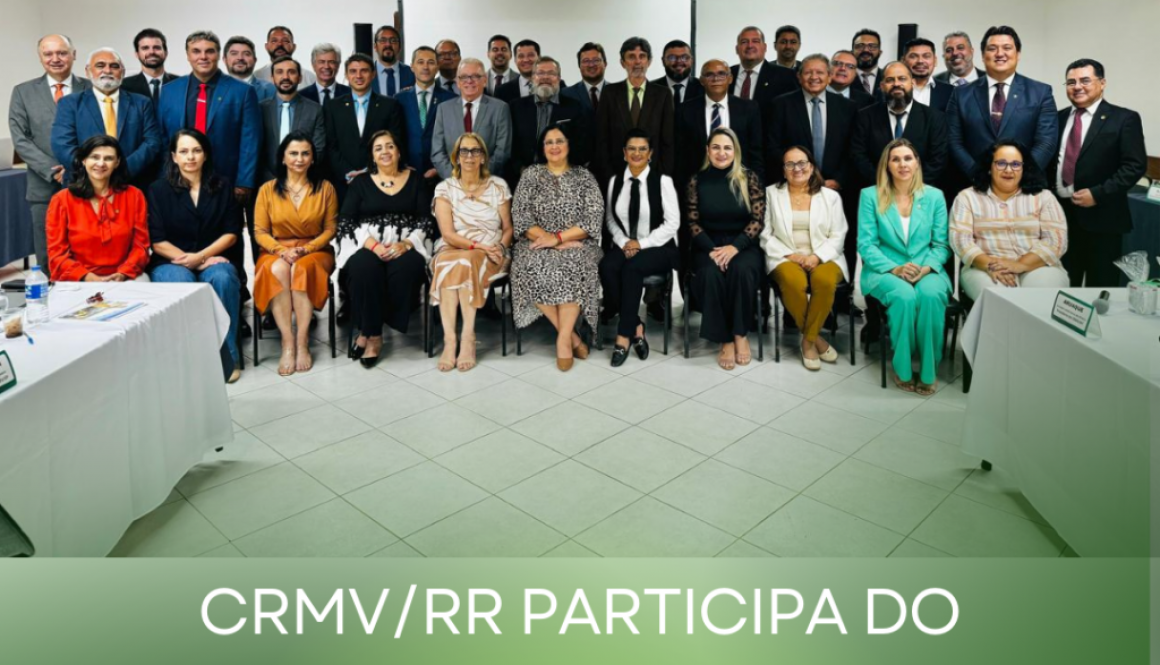 CRMVRR participa do inovador e eficiente modelo da CNP do Sistema CFMVCRMVs CRMVRR participa do inovador e eficiente modelo da CNP do Sistema CFMVCRMVs