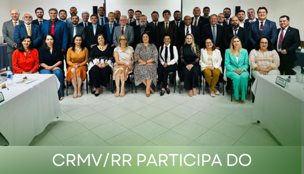 CRMVRR participa do inovador e eficiente modelo da CNP do Sistema CFMVCRMVs