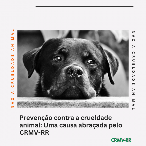 Prevenção contra a crueldade animal: uma causa abraçada pelo CRMV/RR