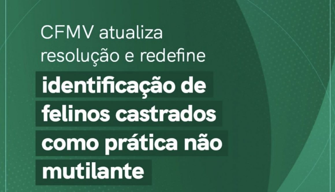 CFMV atualiza Resolução e redefine identificação de felinos castrados como prática não mutilante